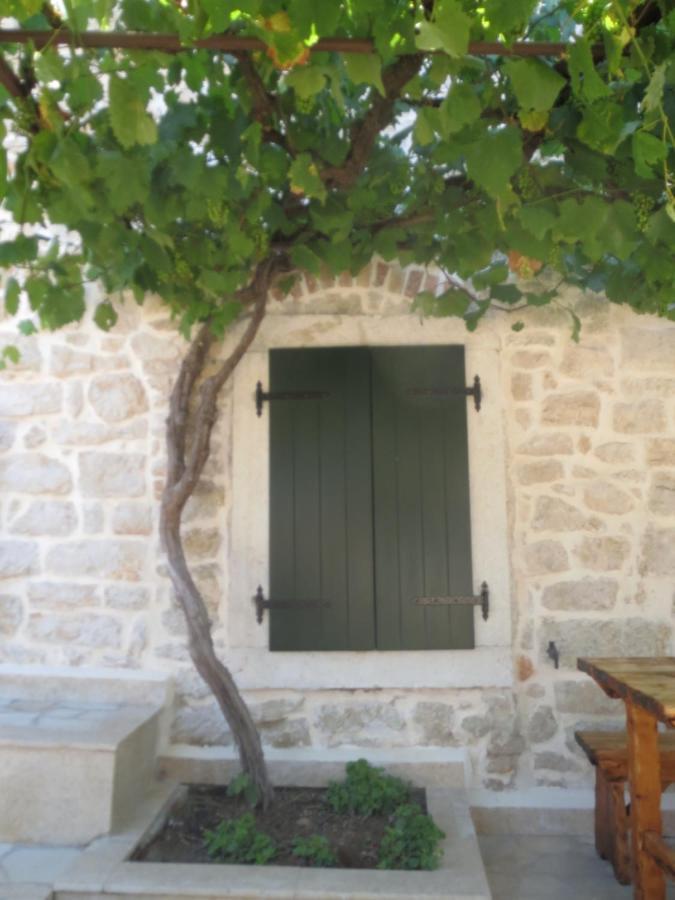 Villa Zita Porec Exterior photo